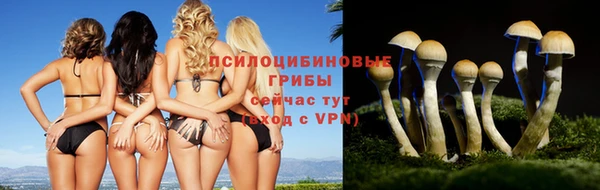 каннабис Абаза