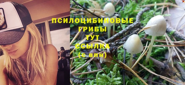 твердый Снежногорск