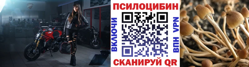 купить Иланский mega ссылка Псилоцибиновые грибы ЛСД